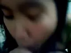 Malese - davvero cornea ragazza malese