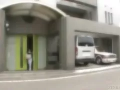 Lavoro senza fondo e peloso giapponese 5