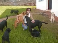 Alessandra aghajani vitale 109