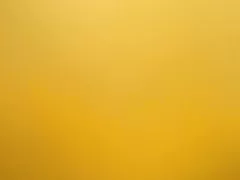 Pelosi splendide donne sotto coperta 2