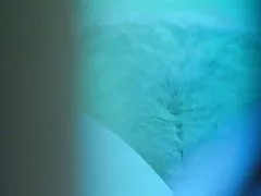 Pelosa blonde concia alla palestra