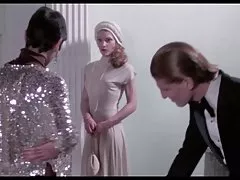 Colomba di bianco verso il basso