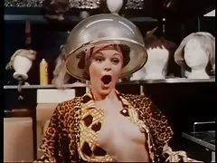 Sniffer di casalinghe